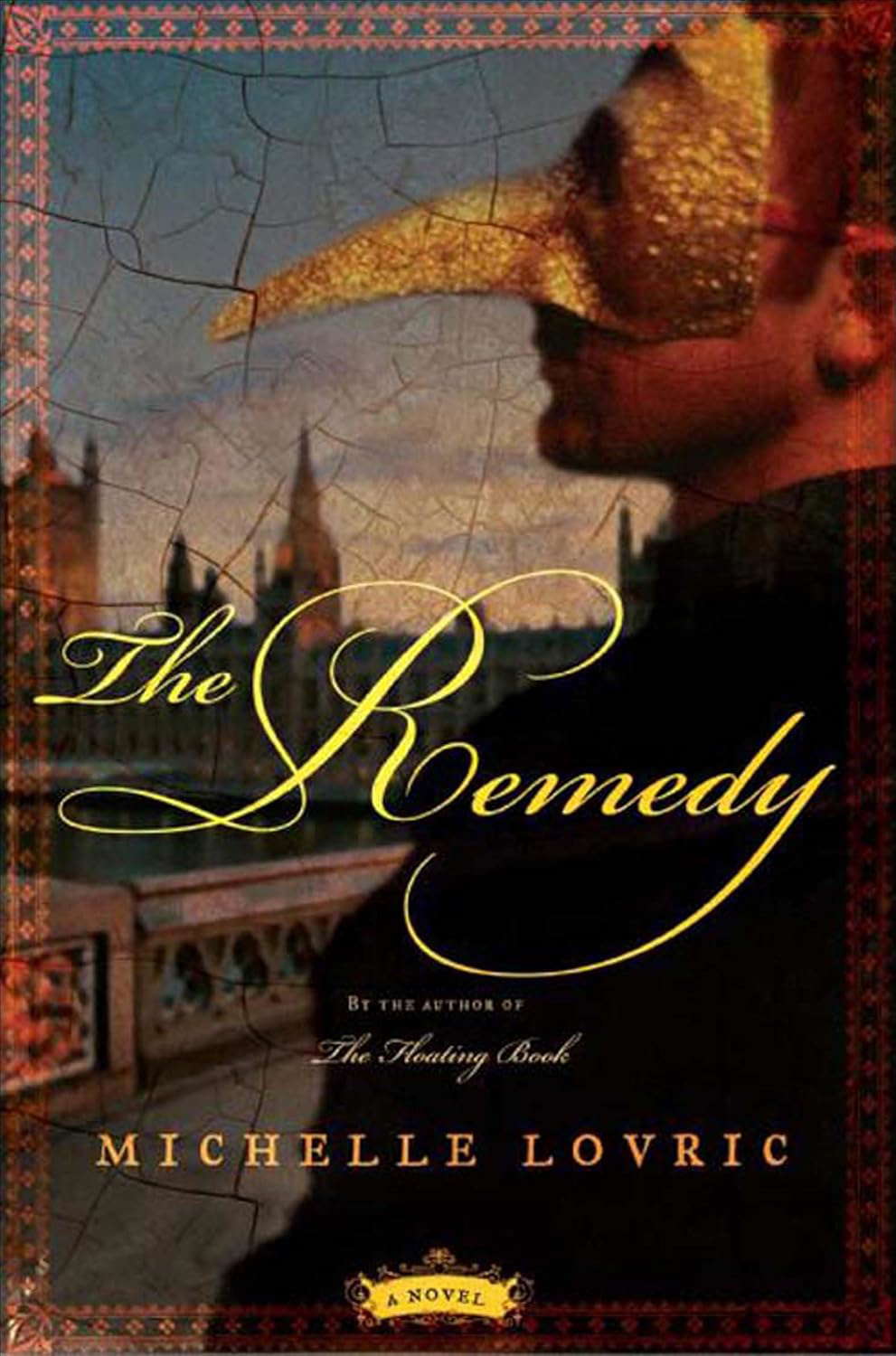 The Remedy: A Novel poster
