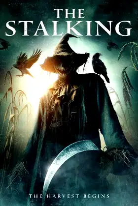 The Stalking poster