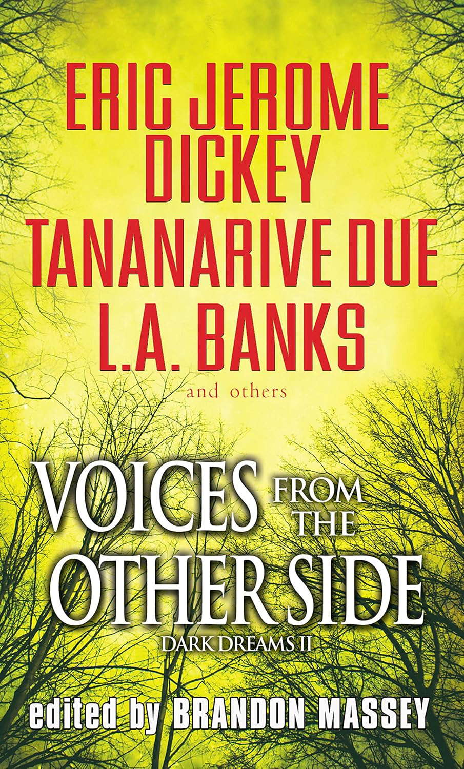 Voices From The Other Side (Dark Dreams Book 2) poster