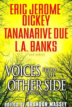 Voices From The Other Side (Dark Dreams Book 2) poster