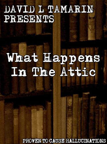What Happens In The Attic poster