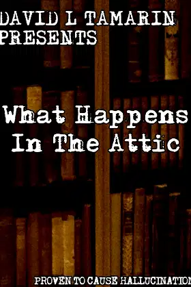 What Happens In The Attic poster