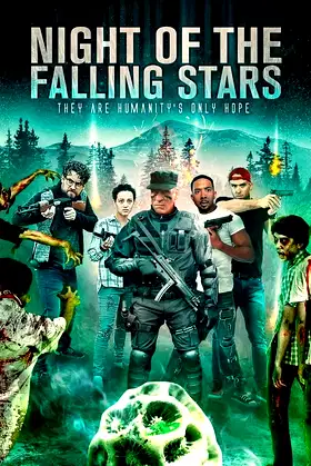 Night of the Falling Stars poster