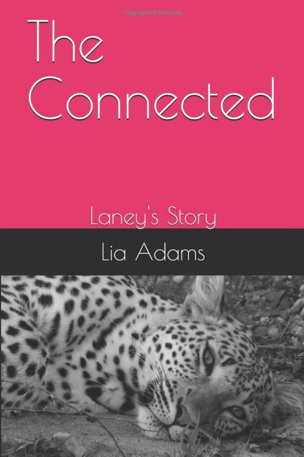 The Connected: Laney's Story poster