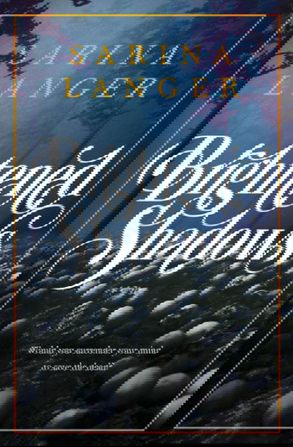 Brightened Shadows (Darkened Light) poster