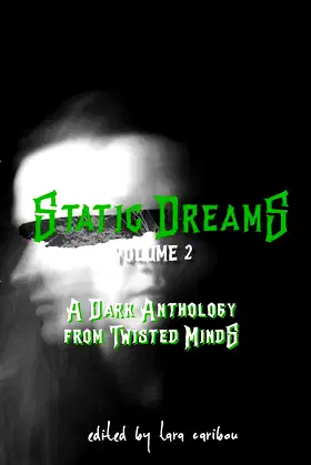Static Dreams Volume 2 poster