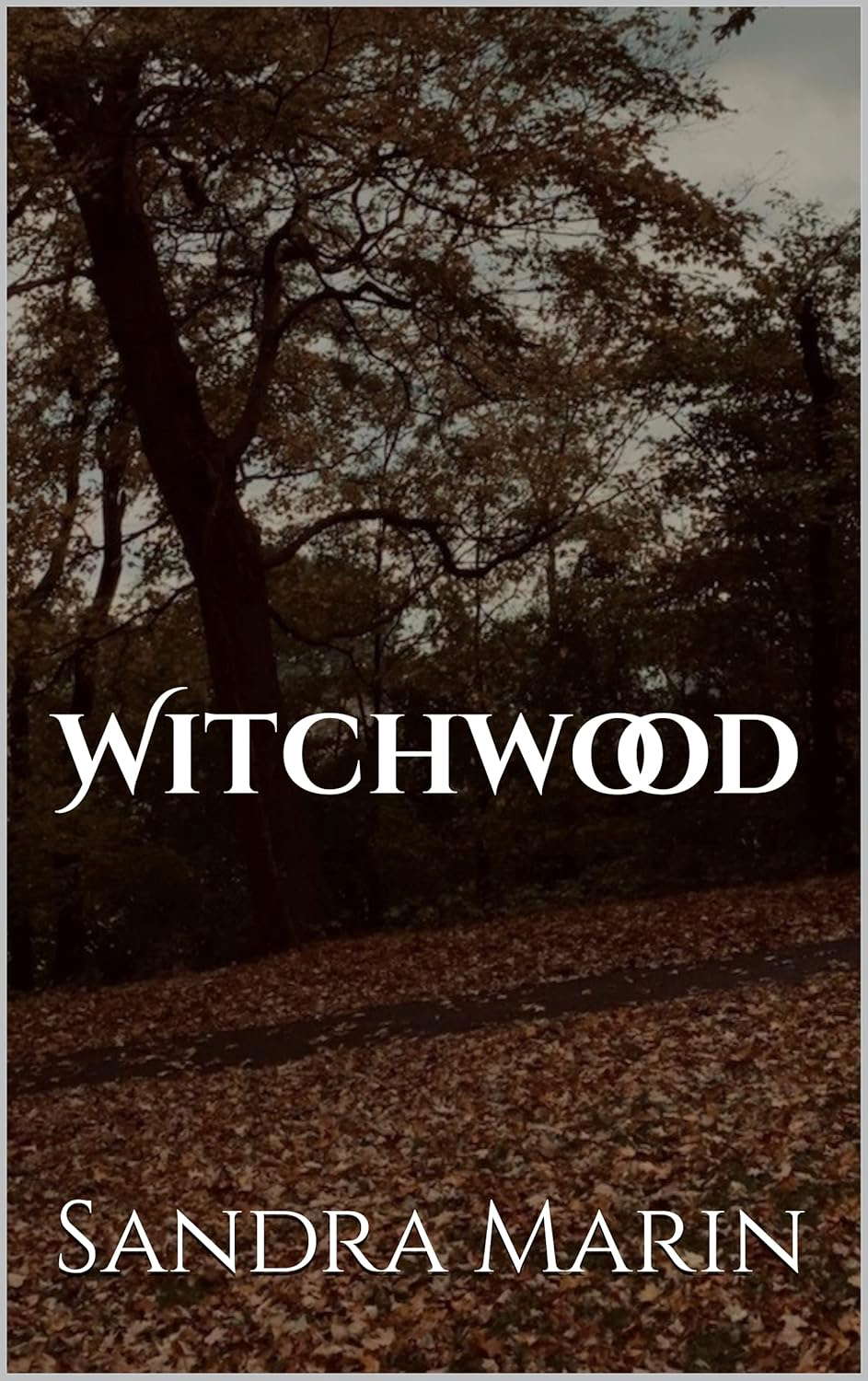 Witchwood poster
