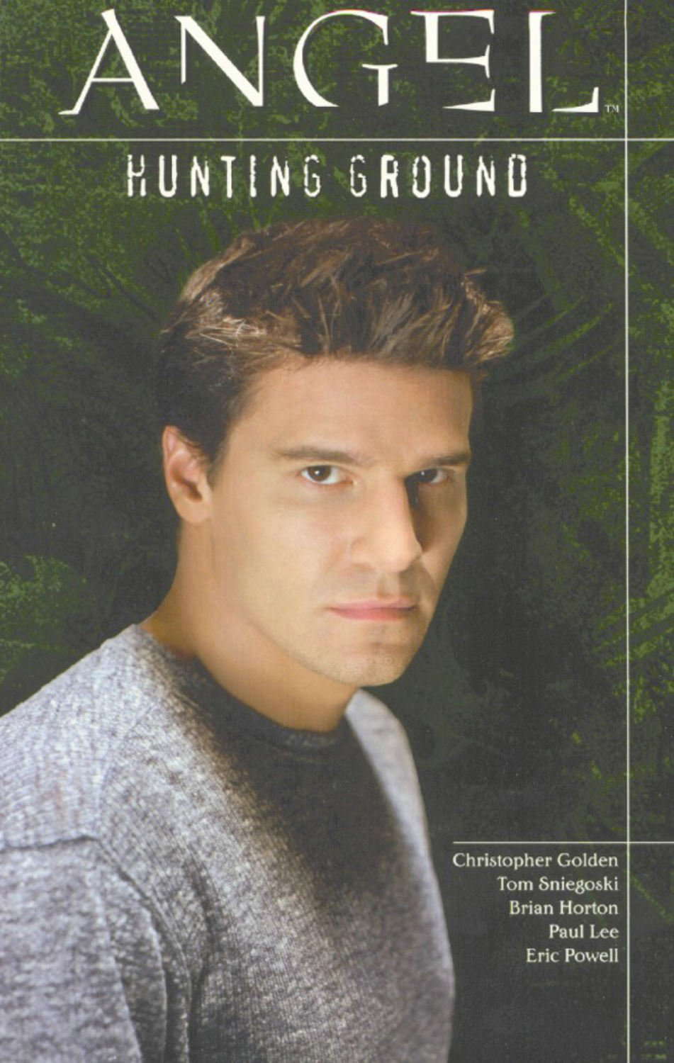 Angel: Hunting Ground poster