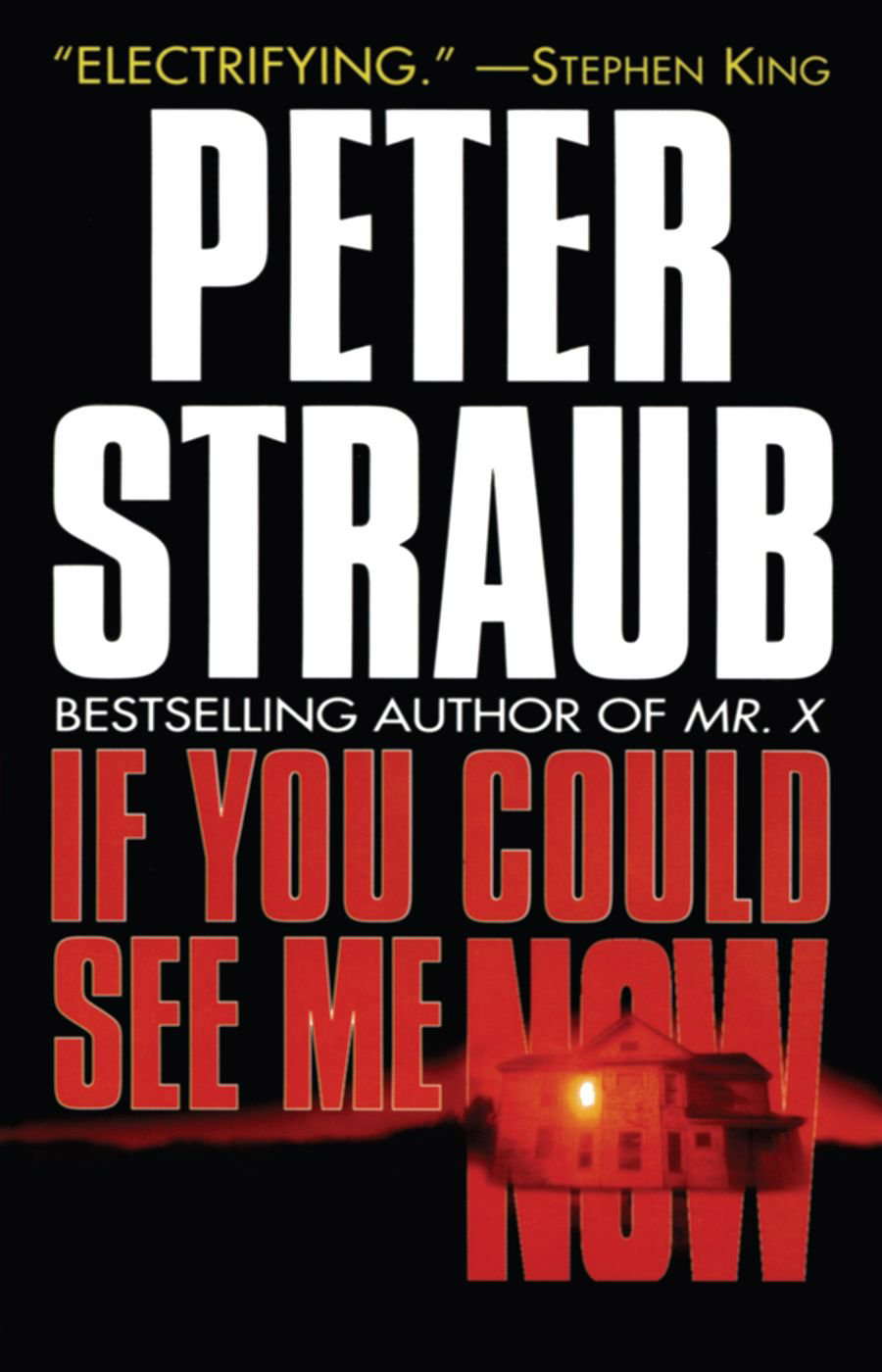 If You Could See Me Now poster