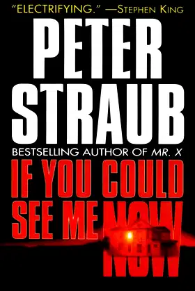 If You Could See Me Now poster
