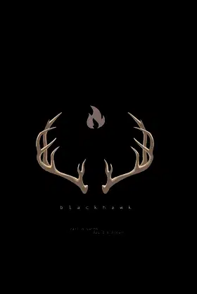 Blackhawk: Volume 1 poster