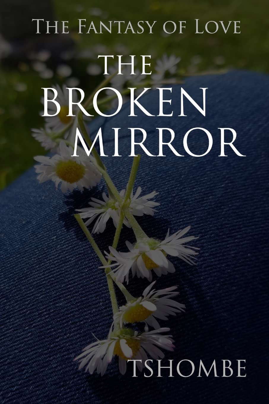 The Fantasy of Love: The Broken Mirror poster
