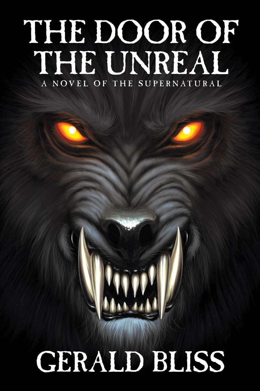 The Door of the Unreal: A Novel of the Supernatural poster