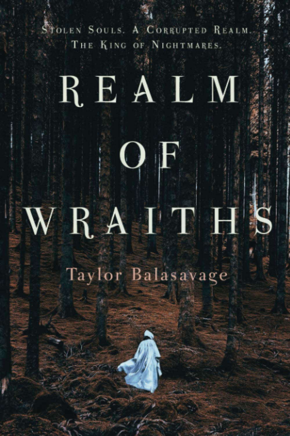 Realm of Wraiths poster