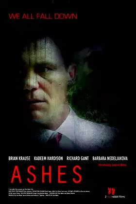Ashes poster