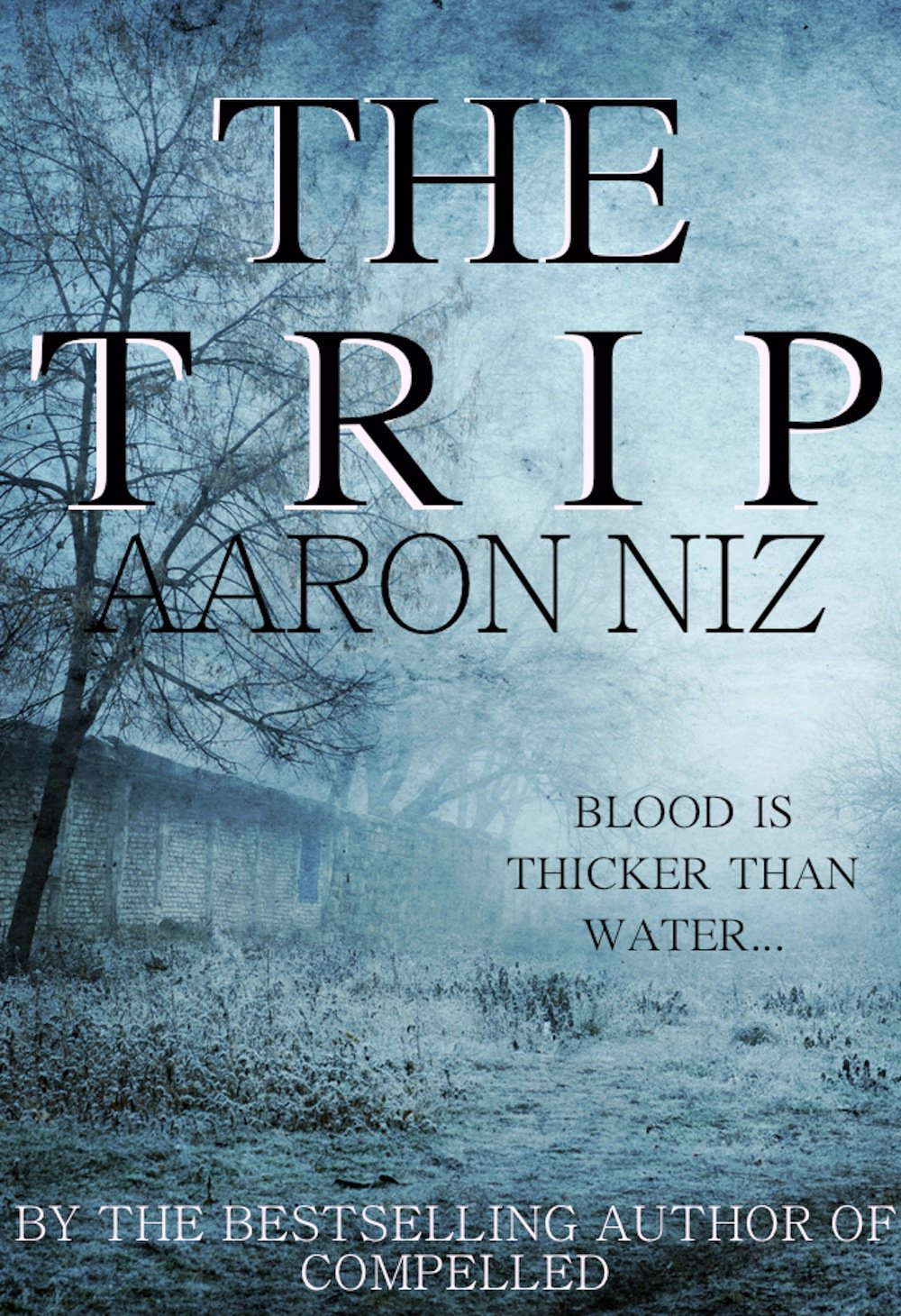 THE TRIP poster