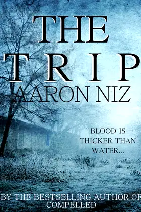 THE TRIP poster
