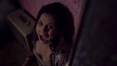 Exclusive WILD BOAR Trailer poster