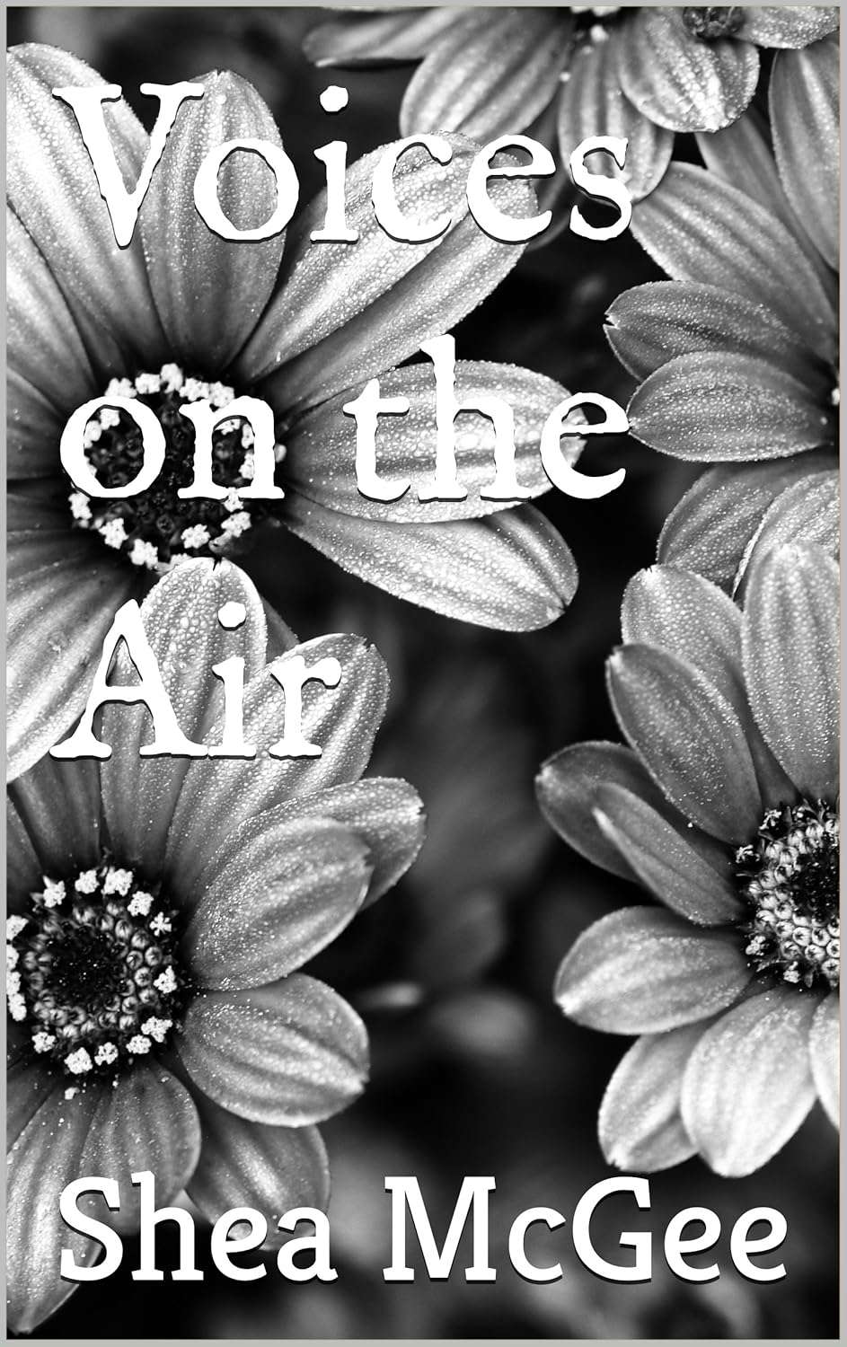 Voices on the Air (Makaela Williams Series Book 1) poster