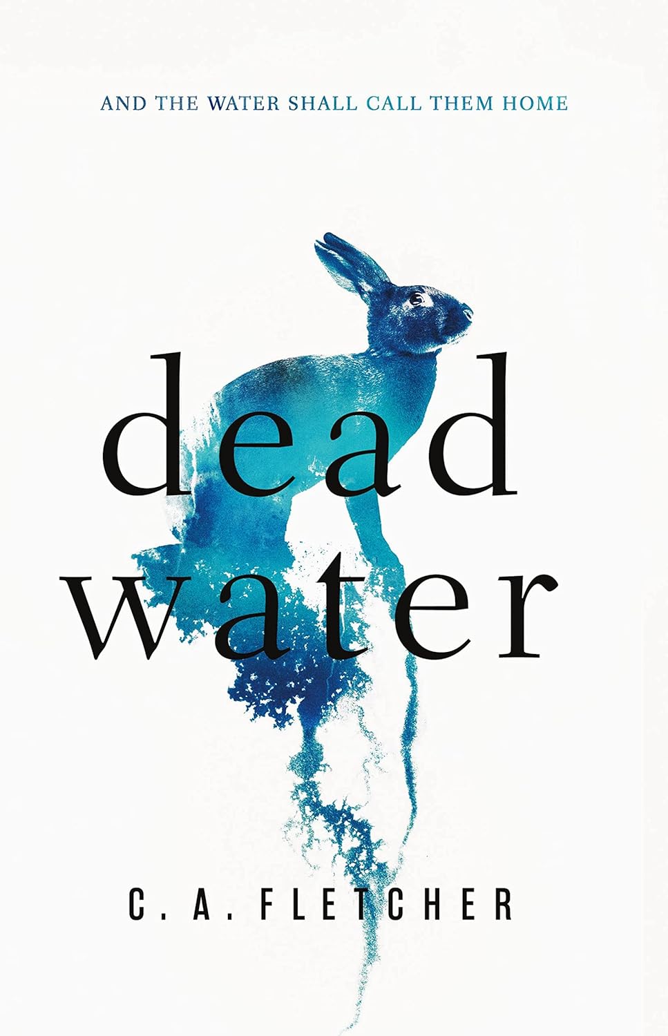 Dead Water poster