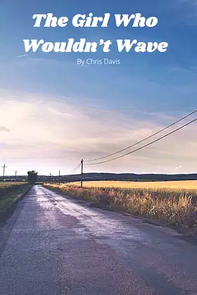 The Girl Who Wouldn't Wave poster