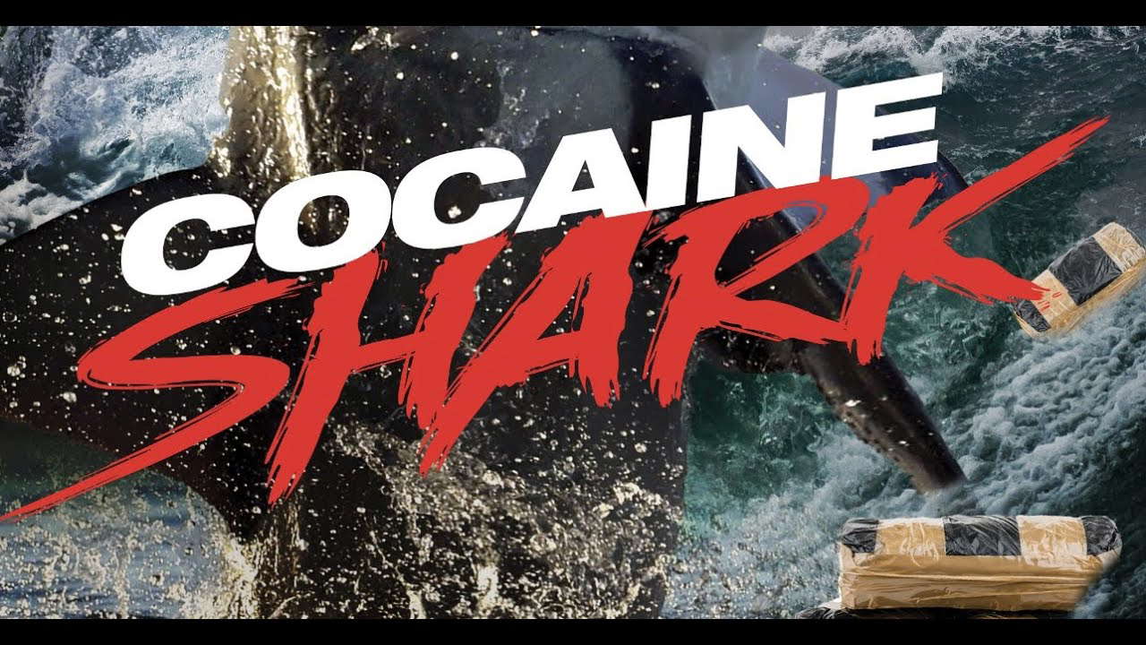 Poster for Cocaine Shark
