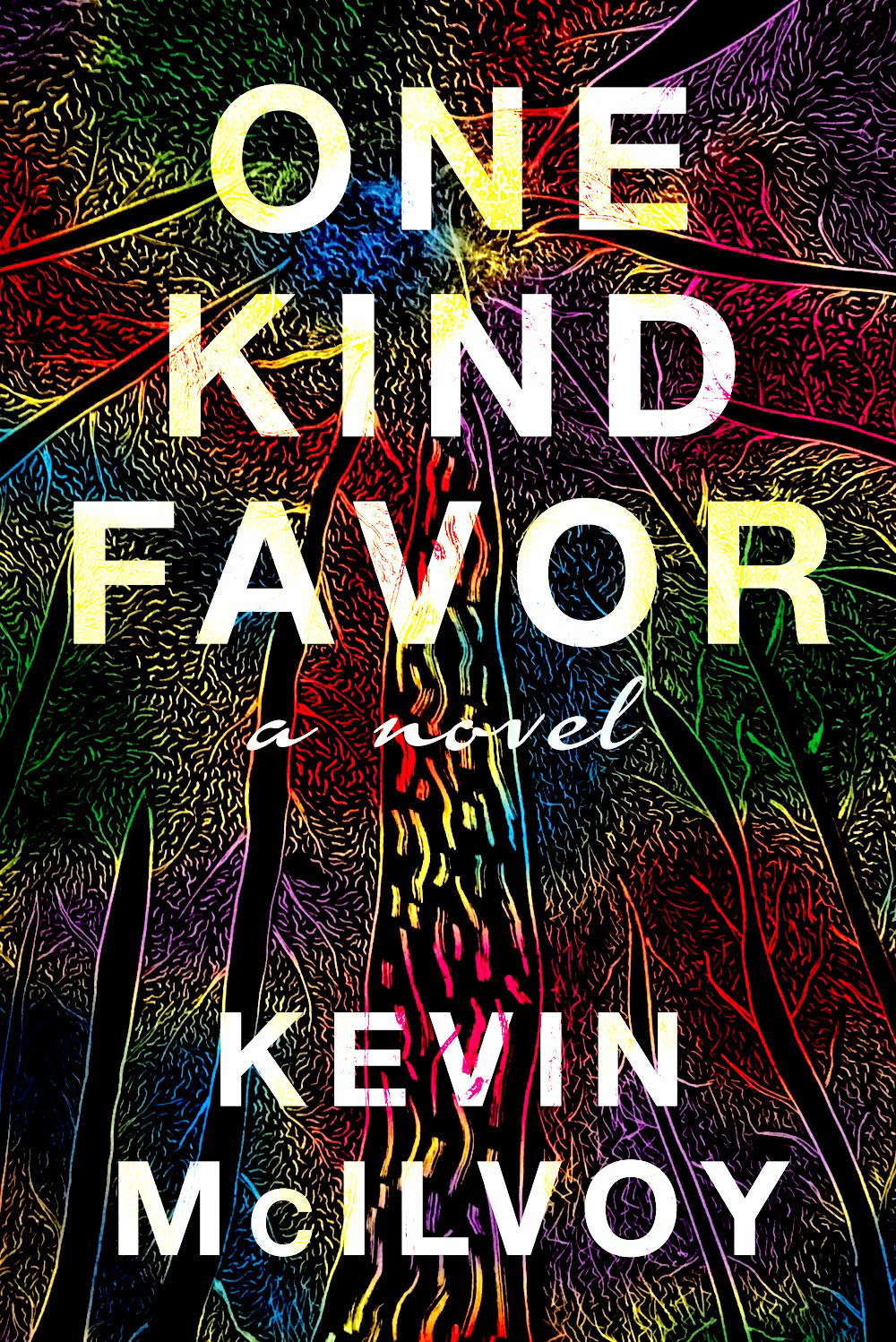 One Kind Favor: A Novel poster