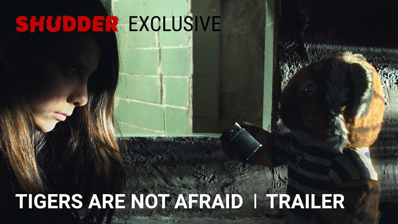 Poster for Tigers Are Not Afraid