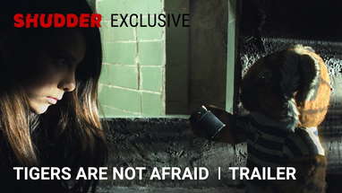 Tigers Are Not Afraid - Official Trailer [HD] | A Shudder Exclusive poster