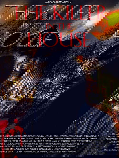 The Killer in the House poster