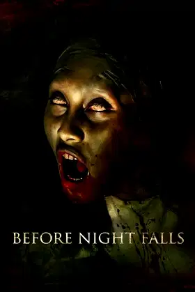 Before Night Falls poster