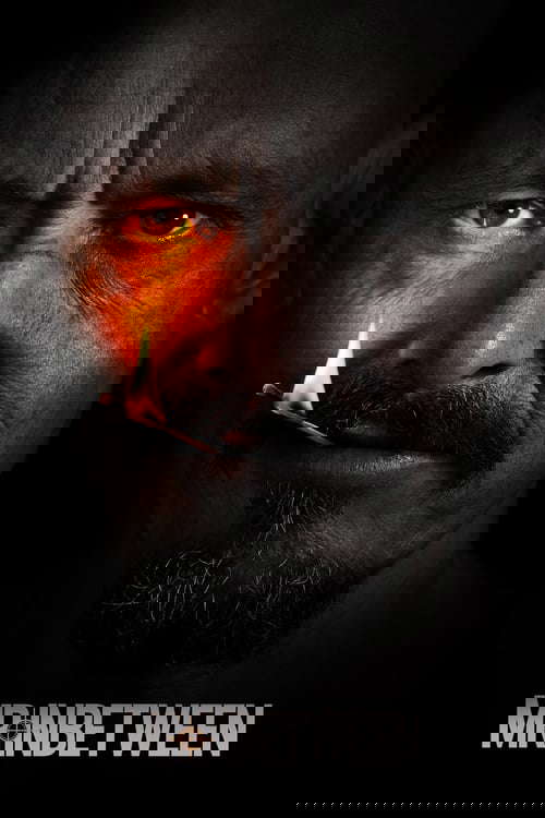 Mr Inbetween poster
