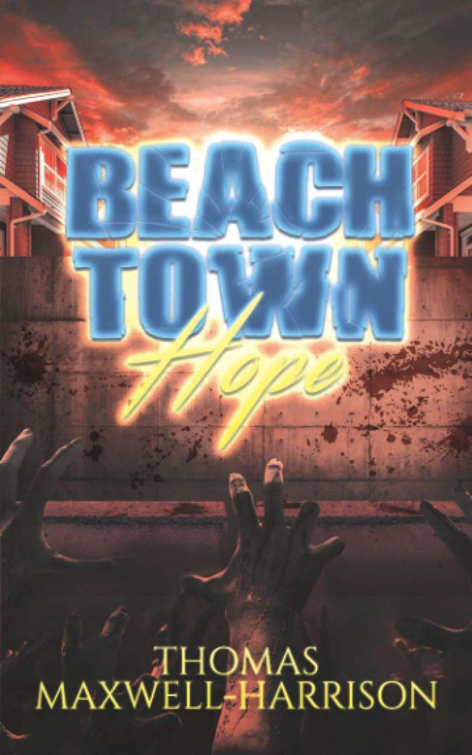 Beach Town Hope poster