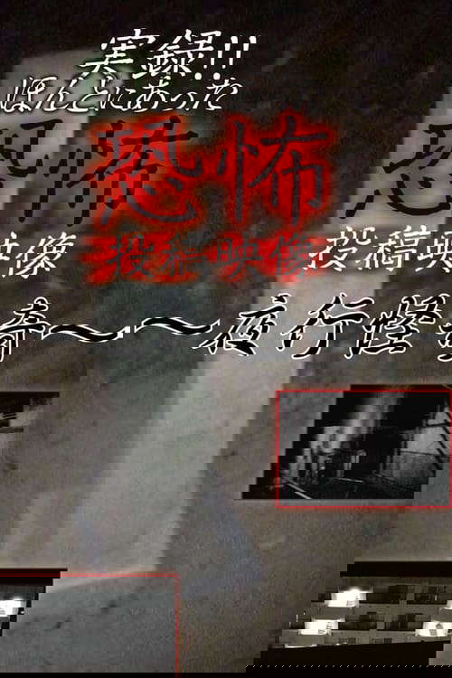 Actual Record! Real Horror Posted Video: Nightly Bizarre poster