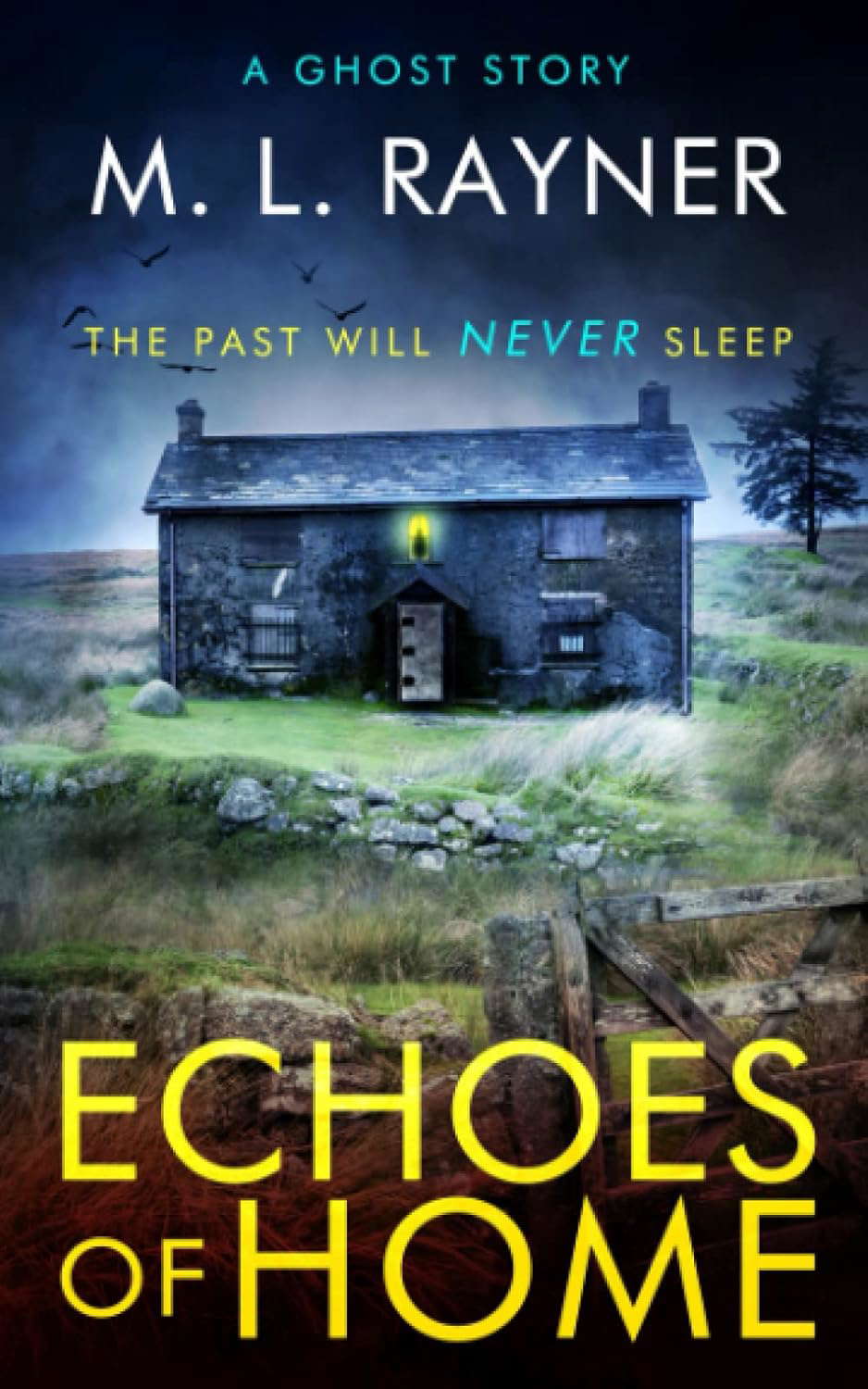 Echoes of Home: A Ghost story, which will haunt you... poster