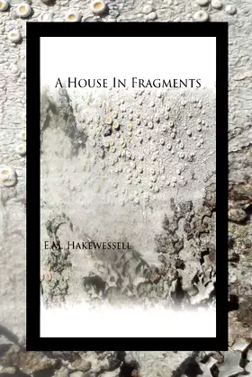 A House in Fragments poster