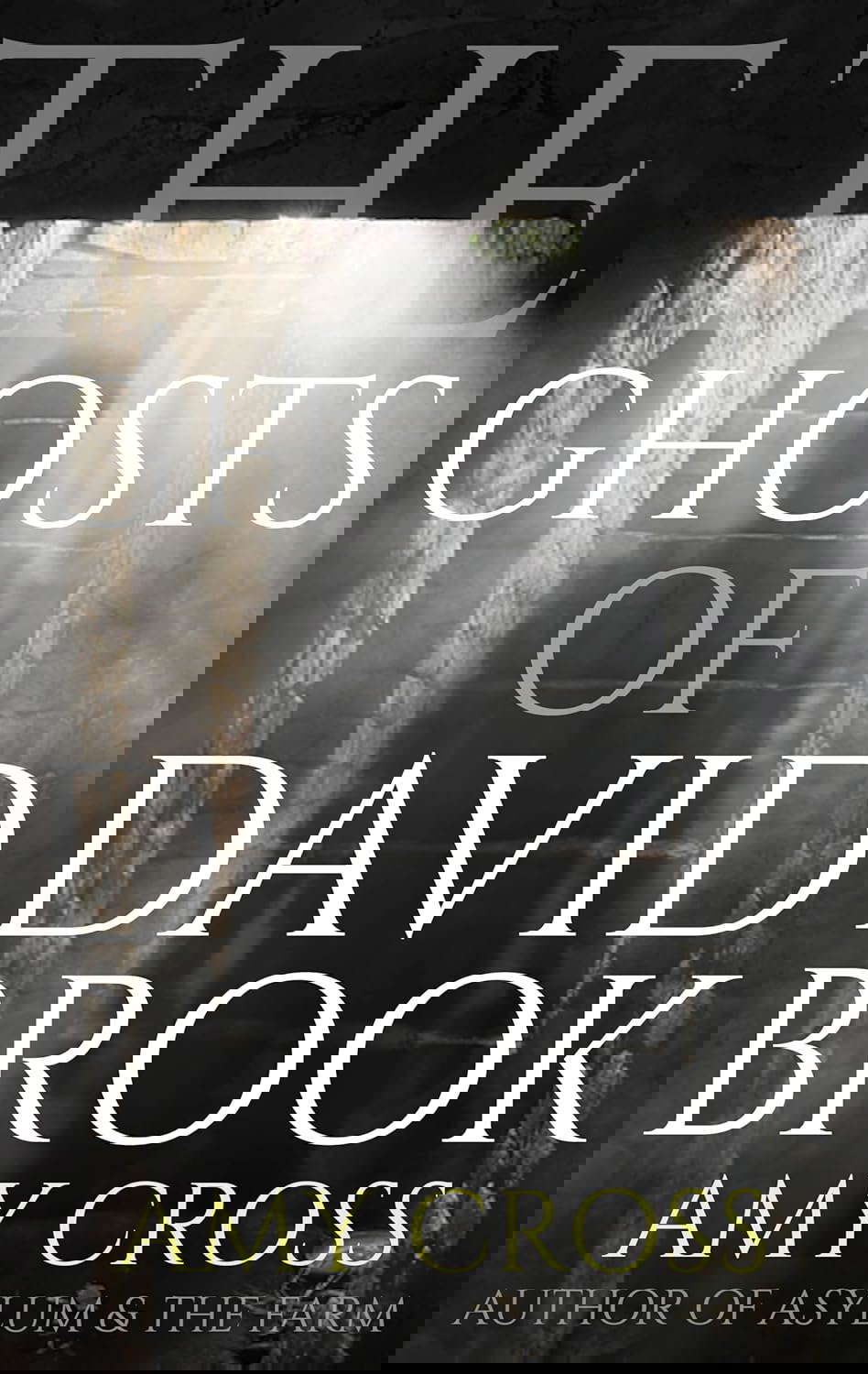The Ghosts of David Brook (The Ghost Story Collection) poster