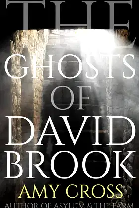 The Ghosts of David Brook (The Ghost Story Collection) poster