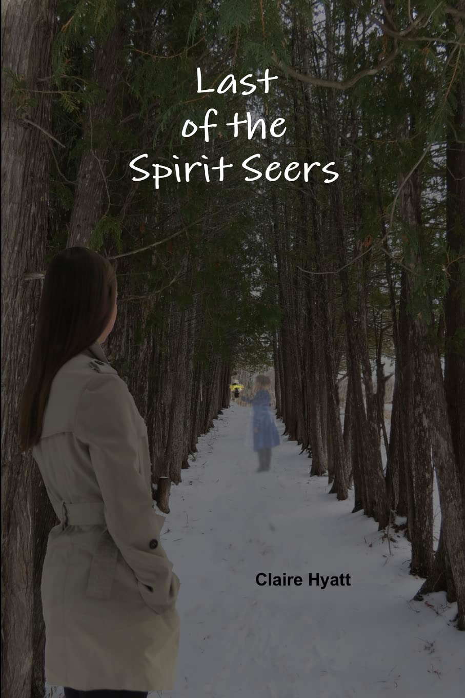 Last of the Spirit Seers poster