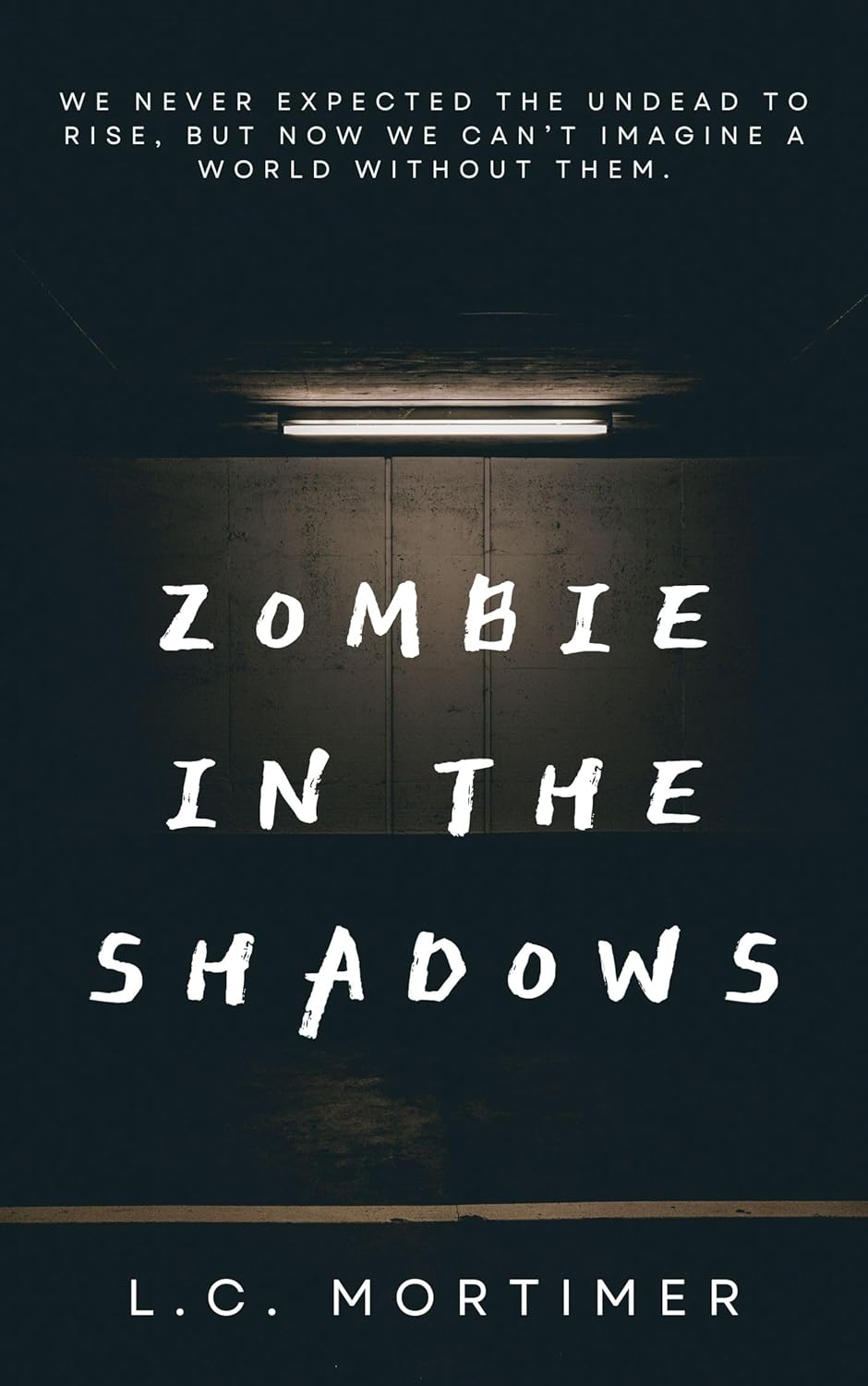 Zombie in the Shadows: A Standalone Apocalypse Story poster