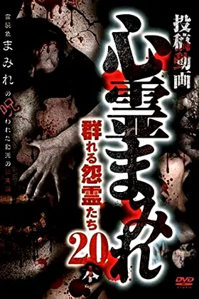 Submitted Videos: Drenched in the Paranormal - 20 Videos of Gathering Resentful Spirits poster