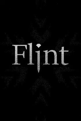 Flint poster