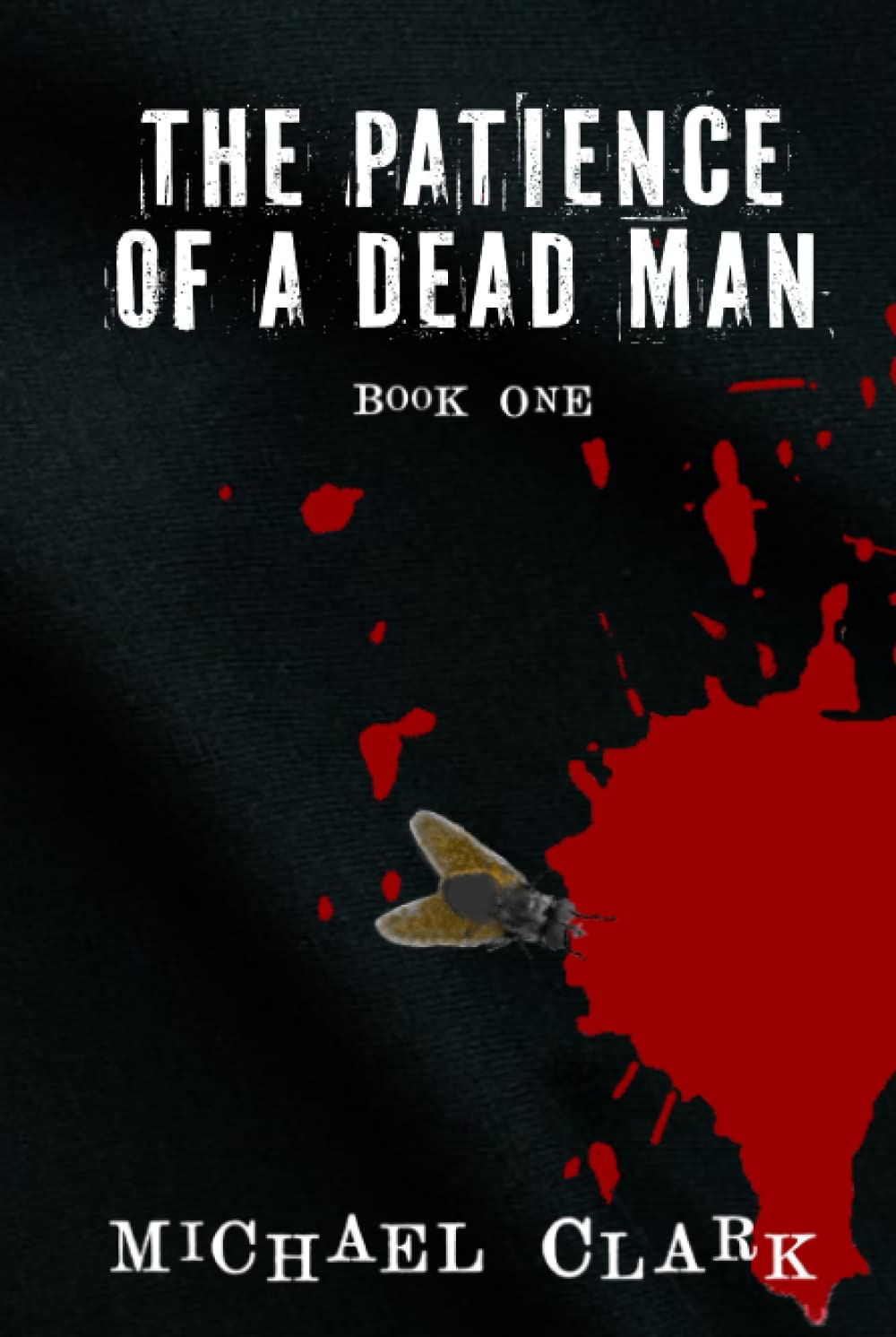 The Patience of a Dead Man poster