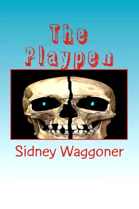 The Playpen poster