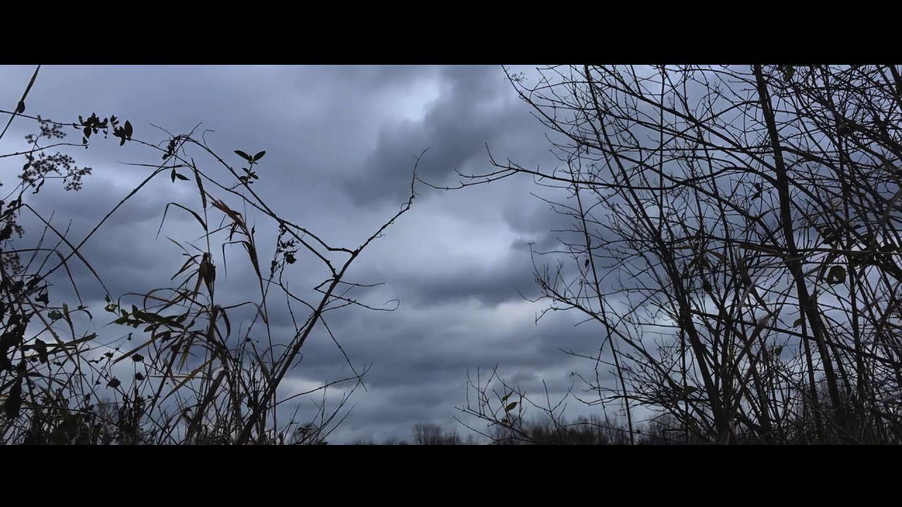 Poster for The Mothman of Point Pleasant