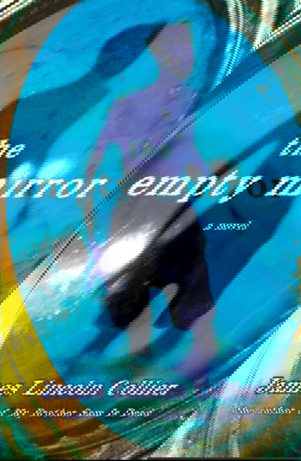 The Empty Mirror poster