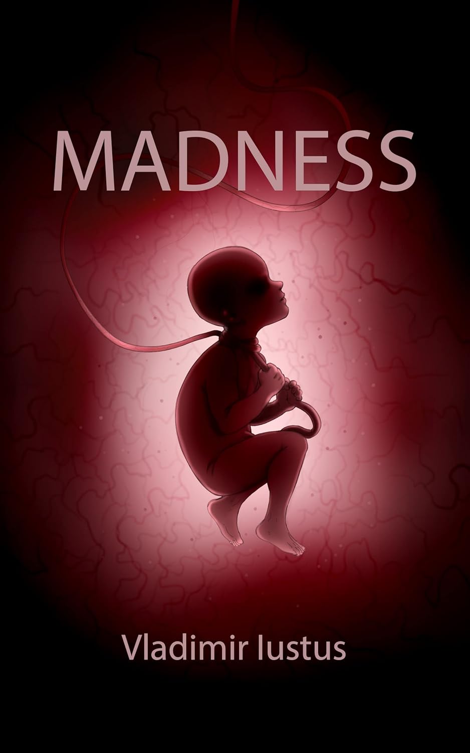 Madness: Rebirth in hell poster