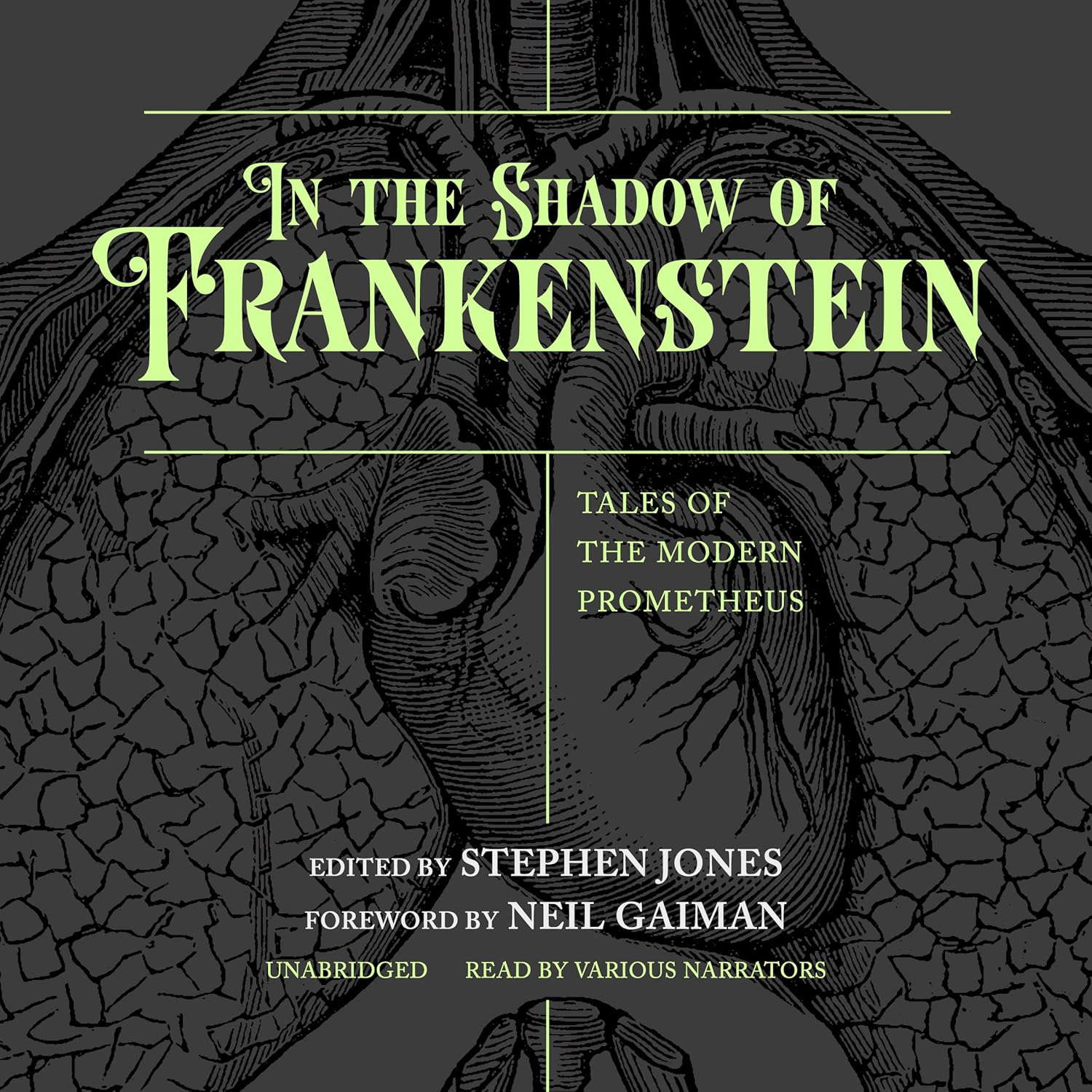 In the Shadow of Frankenstein Lib/E: Tales of the Modern Prometheus poster