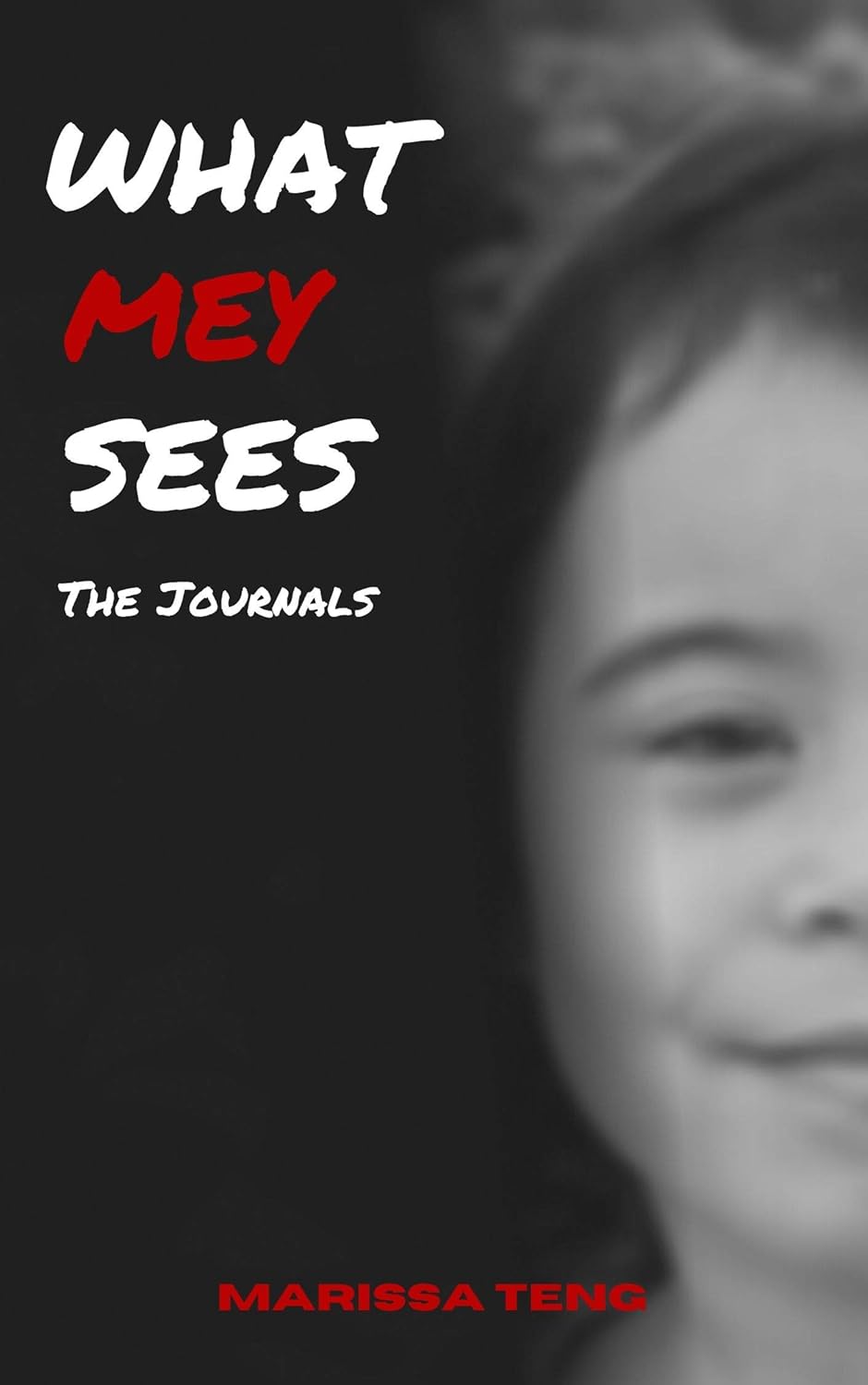 What Mey Sees: The Journals poster