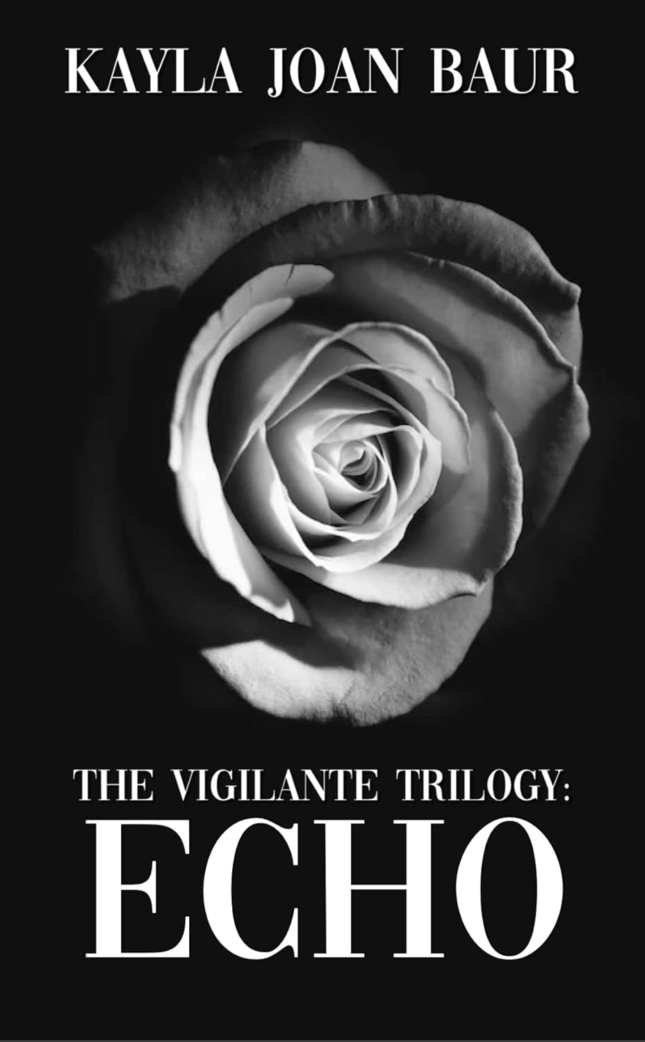 The Vigilante Trilogy: Echo poster